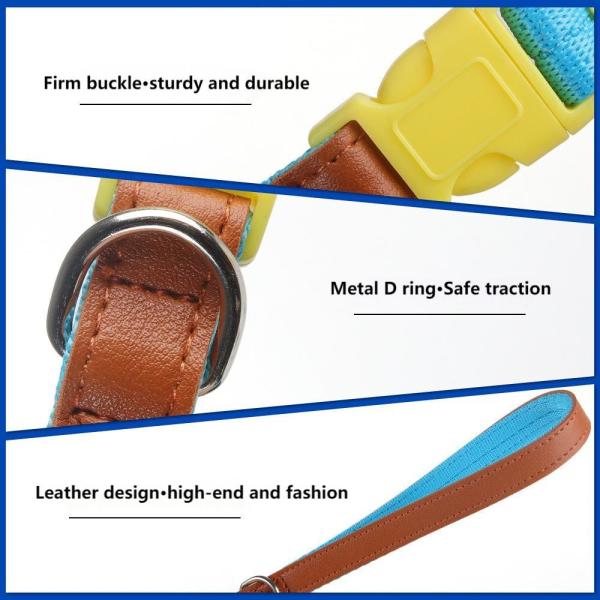Anti Breakaway Dog Training Collars Safe Small Medium Sized Pet Collar