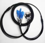 Armored Fiber Optic Patch Cord Double Sheath 2/4/8/12/24 Fiber Breakout Cables