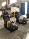 Stordworks Lamella Pump For Crushed Bone Rendering Plant