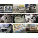 Customized Plastic Chemical Bottle Mould Auto Deflashing Mold S136