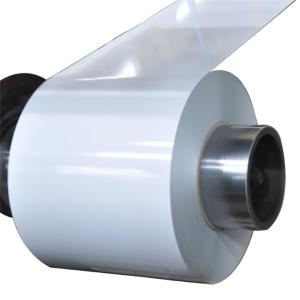 Wholesale CGCC 0.2-2mm 9016 Color PPGI Prepainted Steel Coil White Steel Coil from china suppliers