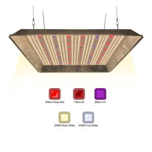 Wholesale 320w UV IR Separately Quantum Horticulture Led Grow Lights from china suppliers