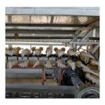 Industrial Medical Safety Glove produce line/nitrile glove dipping machine for