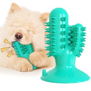 Wholesale TPR Interactive Pet Toys Toothbrush Molar Puppy Teeth Cleaning Toy 125g ODM from china suppliers