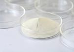 Lipase Bakery Enzyme Catalyze The Hydrolysis Of Lipids