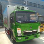 Howo Light Refrigerated Cargo Truck 3 Ton Capacity 4X2 Driving Type