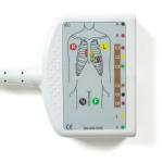 10Lead ECG Patient Cable Compatible For Schiller AT10, AT10 Plus, AT101, AT102,
