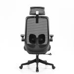 Class 3 Gas Lift Ergonomic Desk Chair 2.5MM Butterfly Mechanism Office Chair