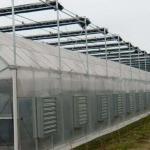 1209.00cm * 235.00cm * 239.00cm Film Cover Greenhouse for Tomato and Cucumber