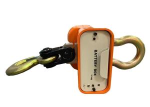 Wholesale Overload Alarm 15t Electronic Crane Scale For Logistics from china suppliers