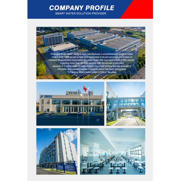 Large Caliber Prepaid IC Card Water Meter ISO 4064 Contactless Brass Factory Price IP68 Protection Horizontal OEM Customizable