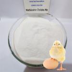 Cattle Dairy Used Methionine Amino Acid Chelate Manganese To Promote Animal