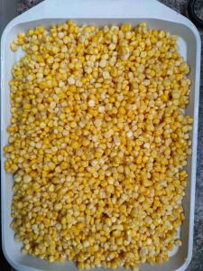 Wholesale Non-GMO Cultivation Type Canned Yellow Corn and Seasoned Processing Type from china suppliers