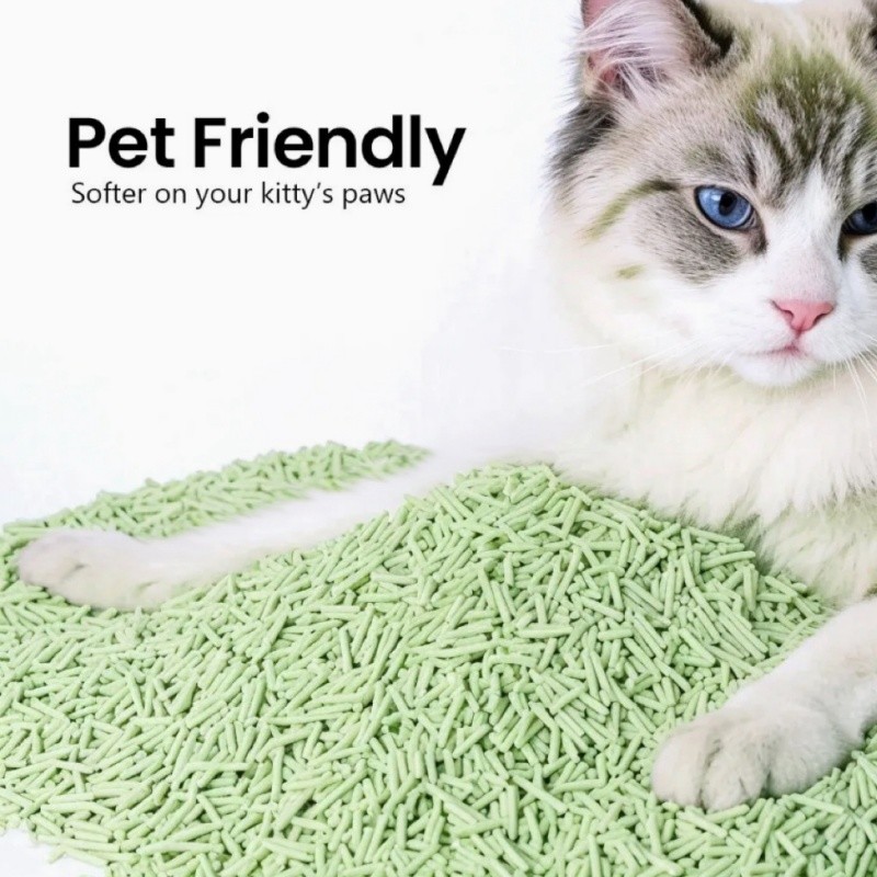 Flush Friendly Green Tea Cat Litter BSCI MSDS Green Tea Leaves Cat Litter