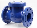 DN100 4 Inch PN10 Cast Iron Flange Swing Check Valve Manufacturer With