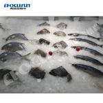 10 000kg Plate Ice Machine for Fish Stainless Steel/Galvanized Steel Body