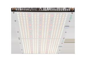 Wholesale Quantum Board 2.5umol/J 240W High PPFD Grow Light from china suppliers