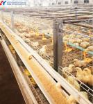 Multifunctional Broiler Chicken Layer Battery Cage Automatic Poultry Farming