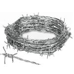 Direct Manufacturer Anti-rust 2.0mm Diameter 100m Long Hot Dipped Galvanized