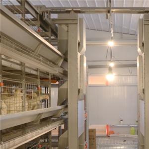 Wholesale Custom Logo 160 birds / set Layer Chicken Cage For Poultry Factory from china suppliers