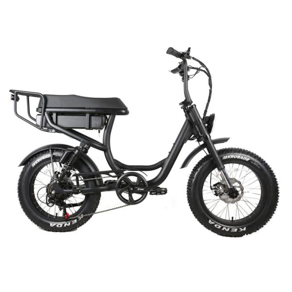 Commute Warehouse 1000w 73 750w Dual Motor Fat Tire Electric Bike Electric