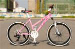 EN standard 36 spokes 24/26 inch alloy mountain bicycle MTB with Shimano 24