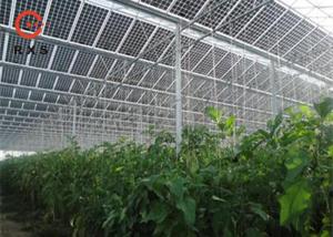 Wholesale Industrial Monocrystalline Double Glass PV Modules 305W 60 Cells Transparent from china suppliers