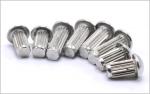 Stainless Steel Round Head Knurling Rivets Pan Head Rivets for Name Plate Round