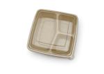 biodegradable disposable paper pulp takeaway food container lunch box