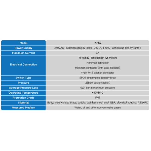 KFS2 Series Flow switch