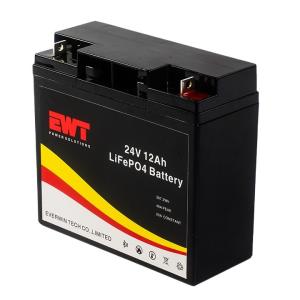 Wholesale 24V 12AH VRLA Lifepo4 Battery Deep Cycle Lithium Iron Phosphate Battery Max discharge current 10A Continuous The charging ratio 0.2C from china suppliers