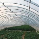 US Single-Arch Hydroponics Greenhouse for Pepper Production Package Gross Weight