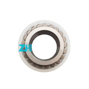 Wholesale Double Row Cylindrical Roller Bearing TJ-609-101-1 size 18X30.86X13mm , High Precision, GCR15 from china suppliers