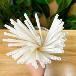 Biodegradable Disposable PLA Straw Plastic Drinking Straws For Hot Drinks