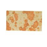 Provides Sample of Silicon Carbide SiC Fireclay Brick for Wood Fired Pizza Ovens