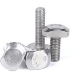 ANSI IFI Standard M6-M60 Stainless Steel Bolts Channel T Bolt