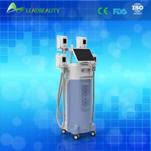 Wholesale 4 Handles Cryolipolysis Fat Freezing Cellulite Reduction best cryolipolysis machine from china suppliers
