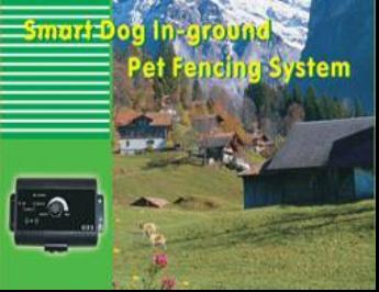 Quality Pet products Smart Dog In-ground Pet Fencing System PTT101 for sale