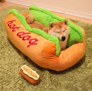 Wholesale Soft Fiber 0.8kg OEM And ODM Dog Lounger Bed from china suppliers