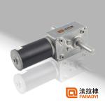 Faradyi Worm Gear Motor 12V 24V Low RPM Customizable Shaft DC Motor With Encoder