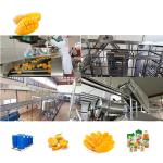 500T/D Industrial Mango Jam Processing Line 220V / 380V
