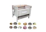 304SUS Simple Automatic Conveyor Vegetable Washing Machine In Kenya