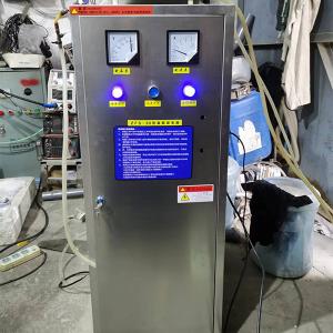 Wholesale 30g High Performance Ozone Sterilization System Environment Friendly from china suppliers