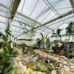 Hydroponic Flower System in Steel Structure Float Glass Greenhouse with