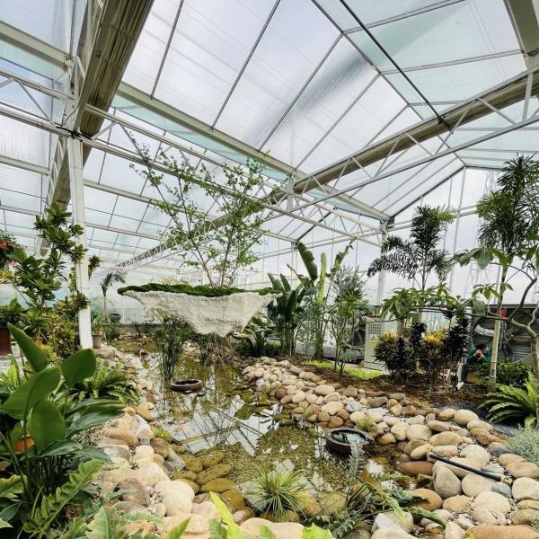 Hydroponic Flower System in Steel Structure Float Glass Greenhouse with