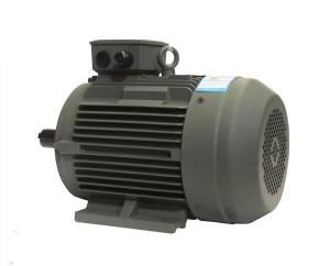 Wholesale YE3 1.5kw 2hp 2p 3 Phase Asynchronous Motor Induction Motor Efficiency Standards from china suppliers