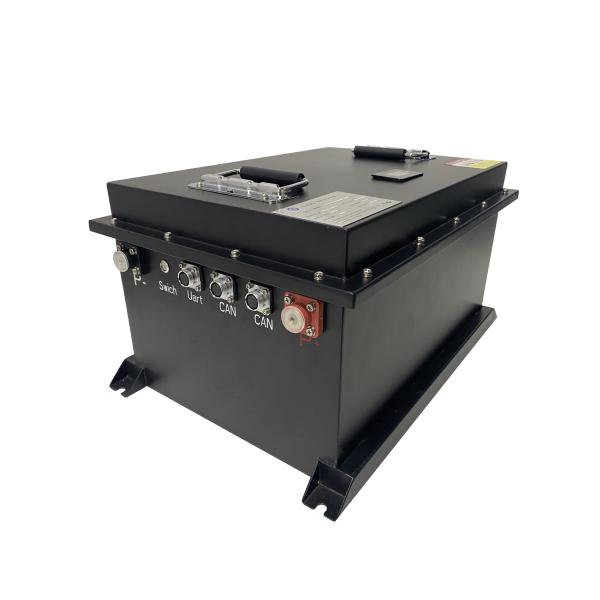 Golf Cart Lifepo4 48v Battery Pack 50-200AH With 100A Smart BMS