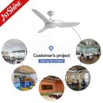 48 Inch/OEM 1stshine Ceiling Fan with Light and Remote Low Noise DC Copper Motor