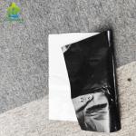 130 Micro Black And White Panda Film
