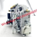 diesel fuel injection pump 9400366779 PE6G11 92P3661101F